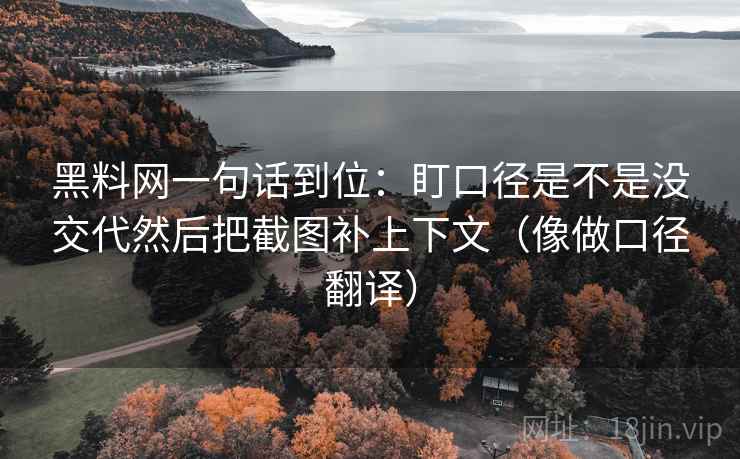 黑料网一句话到位:盯口径是不是没交代然后把截图补上下文(像做口径翻译) 黑料网一句话到位:盯口径是不是没交代然后把截图补上下文(像做口径翻译)